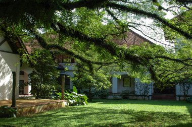 Büyük ağaçlı yeşil bahçe ve arka planda tatil köyü