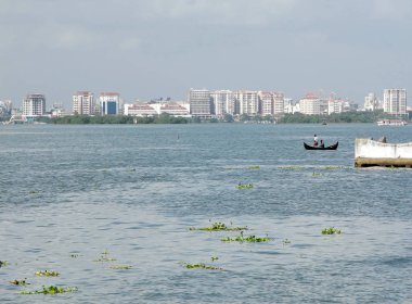 Fort Kochi 'de inci suyu ve yüzen yeşil bitkilerle. 