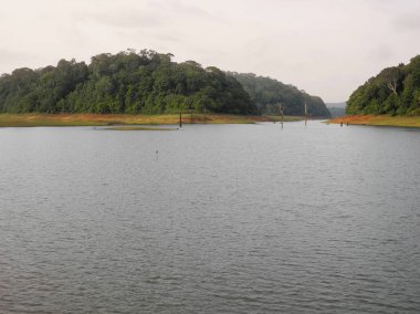 Kerala Hindistan, Kochi bölgesinde Periyar rezervi