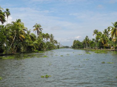 Kochi 'deki Kerala' da durgun kanallar