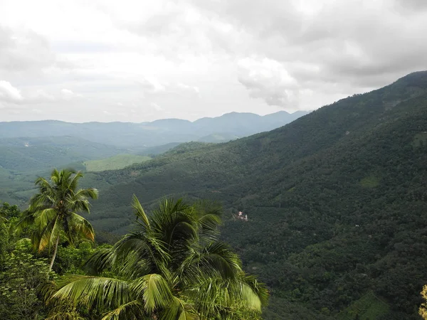 Coqueiros no fundo do vale beatifull verde — Fotografia de Stock