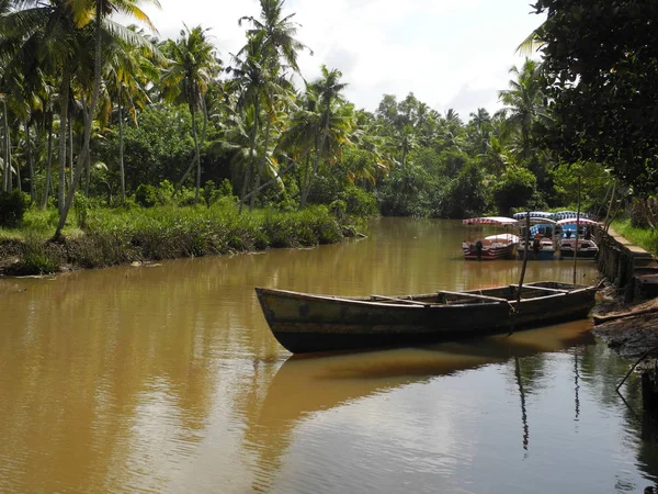 Boot verankerd op backwaters in Kerala, Kochi — Stockfoto