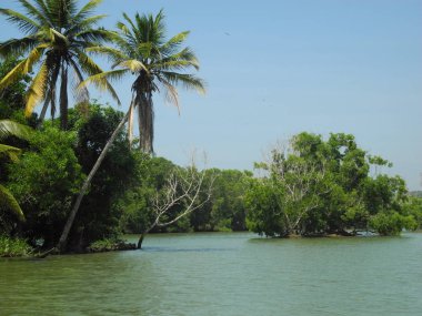 Durgun sular, Trivandrum, Kerala, İndi