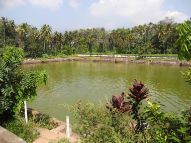 Tapınak göleti, Trivandrum, Kerala