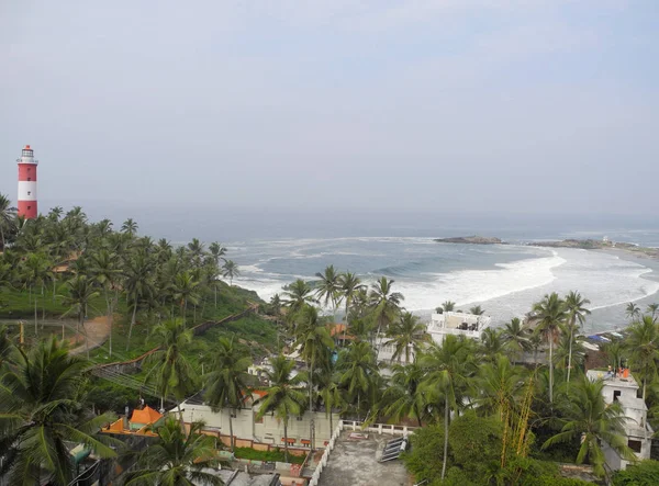 Deniz, palmiye ağaçları ve deniz feneri, Kerala, Trivandrum, Kovalam