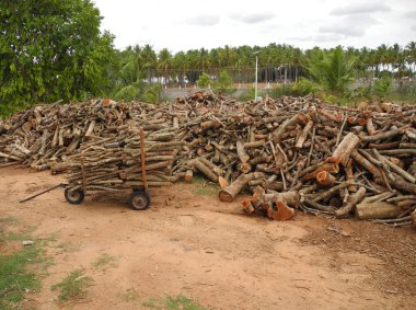 Ateş için odun tedariği, Hindistan, Tamil Nadu