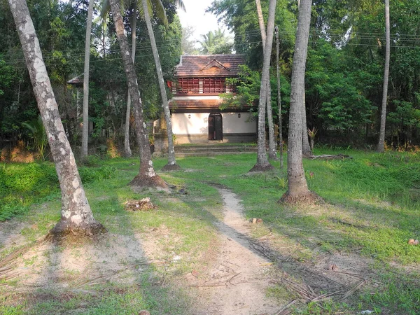 Sendero a la casa en una arboleda de cocoteros en Kochi, Kera —  Fotos de Stock