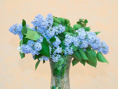 Kristal bir vazoda mavi leylak demeti