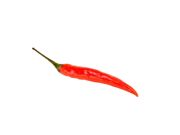 Red Chili Pod Isolado Fundo Branco Cozinha Indiana Ayurveda Conceito — Fotografia de Stock