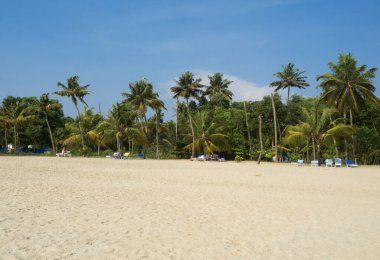 Kochi, Kerala, Hindistan 'daki Arap Denizi' nin Malabar Sahili 'ndeki kum ve hindistan cevizi ağaçları.