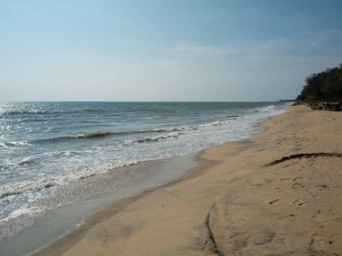 Terkedilmiş kumsal ve Kochi şehrindeki Arap Denizi 'nin suları.