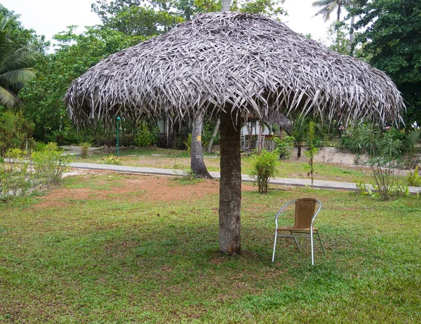 Paraguas Con Techo Hojas Coco Parque Kochi Kerala —  Fotos de Stock