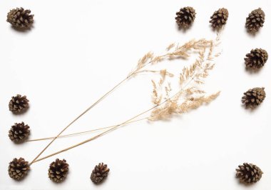 Beyaz arka planda çam kozalakları ve kuru çimenler