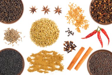 Baharat seti: karanfil, karabiber, kırmızı biber, fenugreek, hardal tohumu, kimera (jeera), yıldız anason, kişniş beyaz arka planda izole edilmiş.