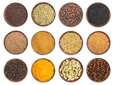 Çamur tabaklardaki baharatlar: karanfil, karabiber, baharat, çemen otu, hardal tohumu, kimera (jeera), rezene, kişniş, zerdeçal, beyaz arka planda izole edilmiş.