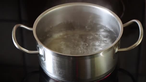 Roestvrij Stalen Pan Het Fornuis Sterk Kokend Water Koken Concept — Stockvideo