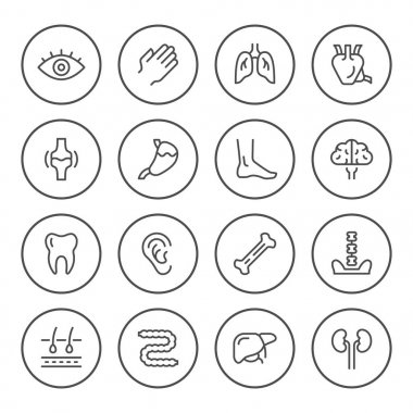 İnsan organları yuvarlak çizgi Icons set