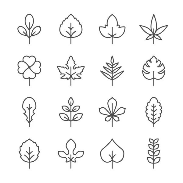 Ange rad ikoner av löv — Stock vektor