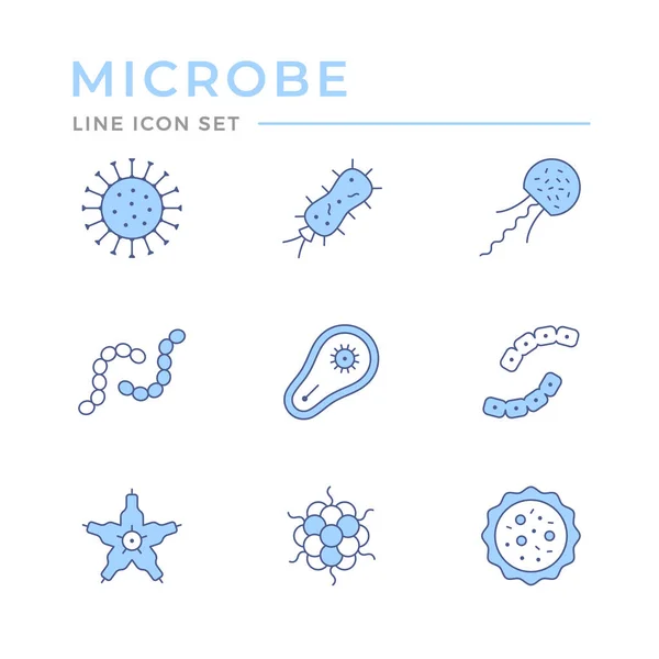 Establecer iconos de línea de color de microbio y bacteria — Vector de stock