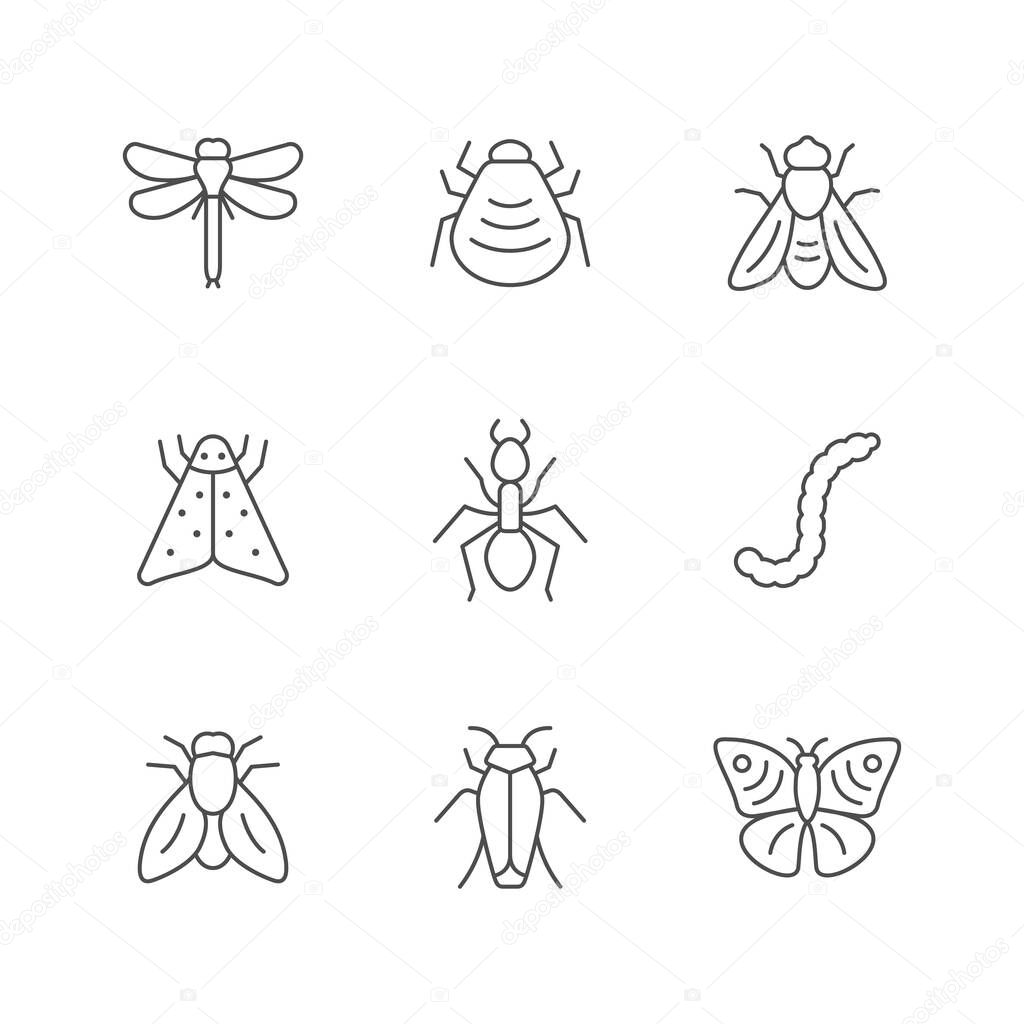 Set line icons of insect