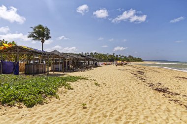 Caraiva, Bahia Eyaleti, Brezilya - 08 Eylül 2019 - Riverside Panorama. Manzaralar ve Caraiva Sahili 'nin günlük hayatı..