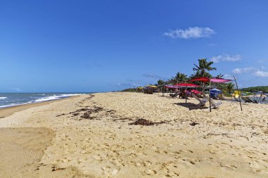 Cear eyaletindeki Canoa Quebrada Plajı 'ndaki insanlar
