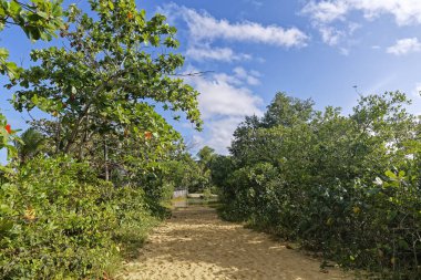 Caraiva, Bahia Eyaleti, Brezilya - Eylül 08, 2019 - Caraiva Sahili 'nin manzaraları ve günlük yaşamı.
