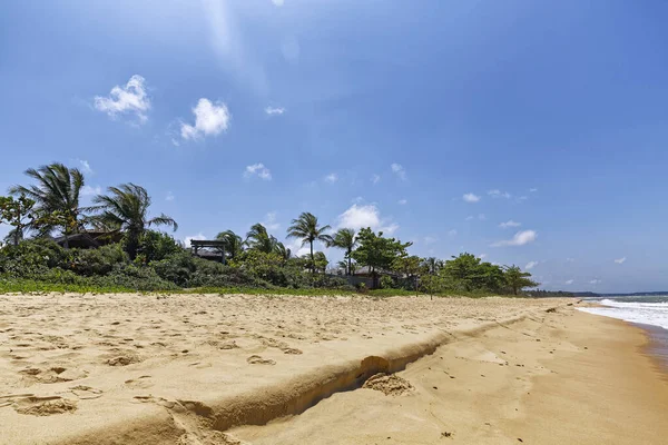 Playa Cricare Ciudad Conceio Barra Esprito Santo Brasil — Foto de Stock