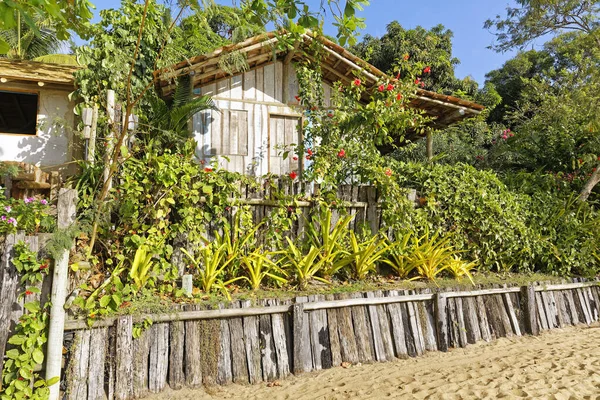 Mysiga Hus Gatan Mossor Stad Delstaten Rio Grande Norte Brasilien — Stockfoto