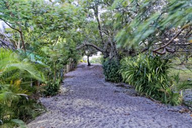 Caraiva, Bahia Eyaleti, Brezilya - Eylül 08, 2019 - Caraiva Sahili 'nin manzaraları ve günlük yaşamı.