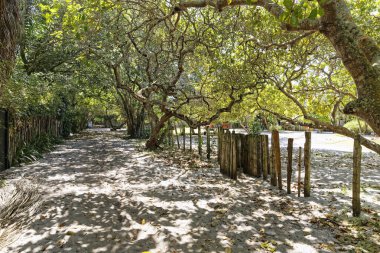 Paraty, Rio de Janeiro, Brezilya 'nın tarihi merkezindeki kaldırım taşlı caddelerde Portekiz tarzı evler.