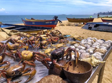 Costa Sahili 'nde deniz yemekleri, Vila Velha, Espirito Santo Eyaleti - Brezilya. 