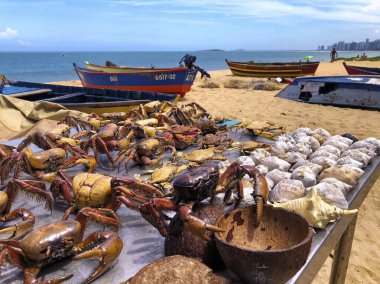 Sea food on Costa Beach, Vila Velha, State of Espirito Santo - Brazil.  clipart