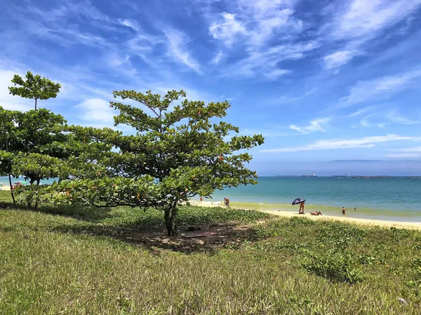 Personas Descansando Playa Costa Vila Velha Estado Espirito Santo Brasil — Foto de Stock