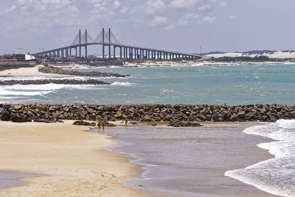 Dzienny Strzał Manaus Iranduba Bridge Zwany Ponte Rio Negro Brazylii — Zdjęcie stockowe