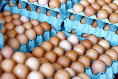 Çiftçi pazarında masada üzerinde tavuk yumurtası olan mavi tepsiler.