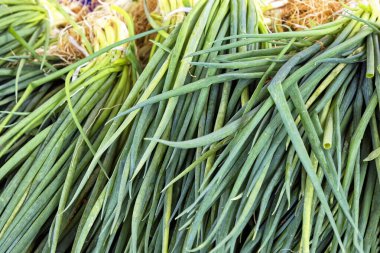 Pazarda bir demet yeşil soğan 