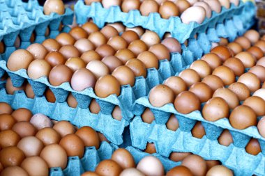 Çiftçi pazarında masada üzerinde tavuk yumurtası olan mavi tepsiler.