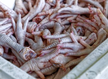 Çiftçi pazarında çiğ tavuk ayağı