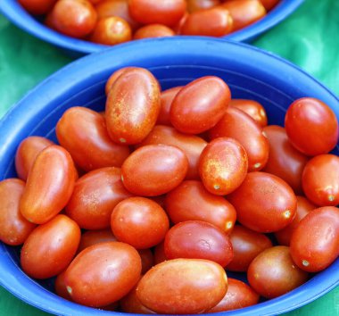 sulu kırmızı olgun domatesler pazarda masanın üstünde.