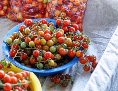 Çiftçi pazarında tezgahın üzerinde küçük kırmızı domatesler. 