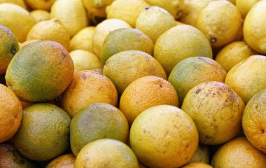 Çarşıda tezgahlarda bir sürü olgun ve sulu limon 