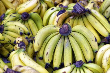 Çiftçi pazarında masada sarı muzlar
