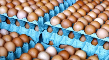 Çiftçi pazarında masada üzerinde tavuk yumurtası olan mavi tepsiler.