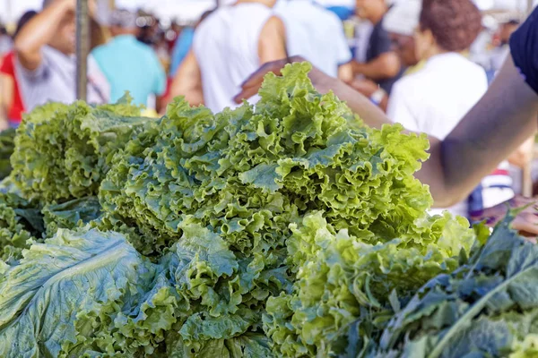 Çarşıda bir sürü taze yeşil salata var.