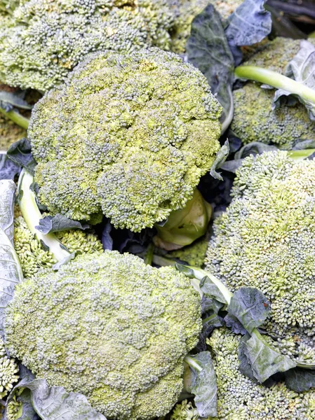 Germogli Broccoli Tavola Sul Mercato Dei Faacrmer — Foto Stock