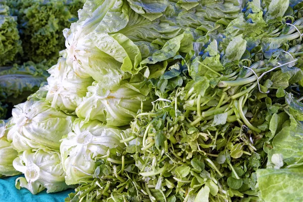 Many Green Tight Crunchy Juicy Lettuce Leaves Bazaar — Stock Photo, Image