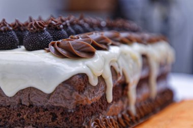 chocolate sponge cake with white glaze and candies