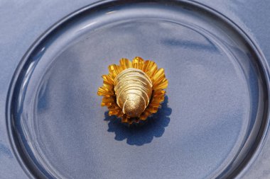 Altın sütlü çikolatalı oval şeker mavi tabakta 