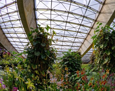 Brasilia, Distrito Federal, Brezilya - 25 Ocak 2020: Ulusal Tiyatronun İçi.